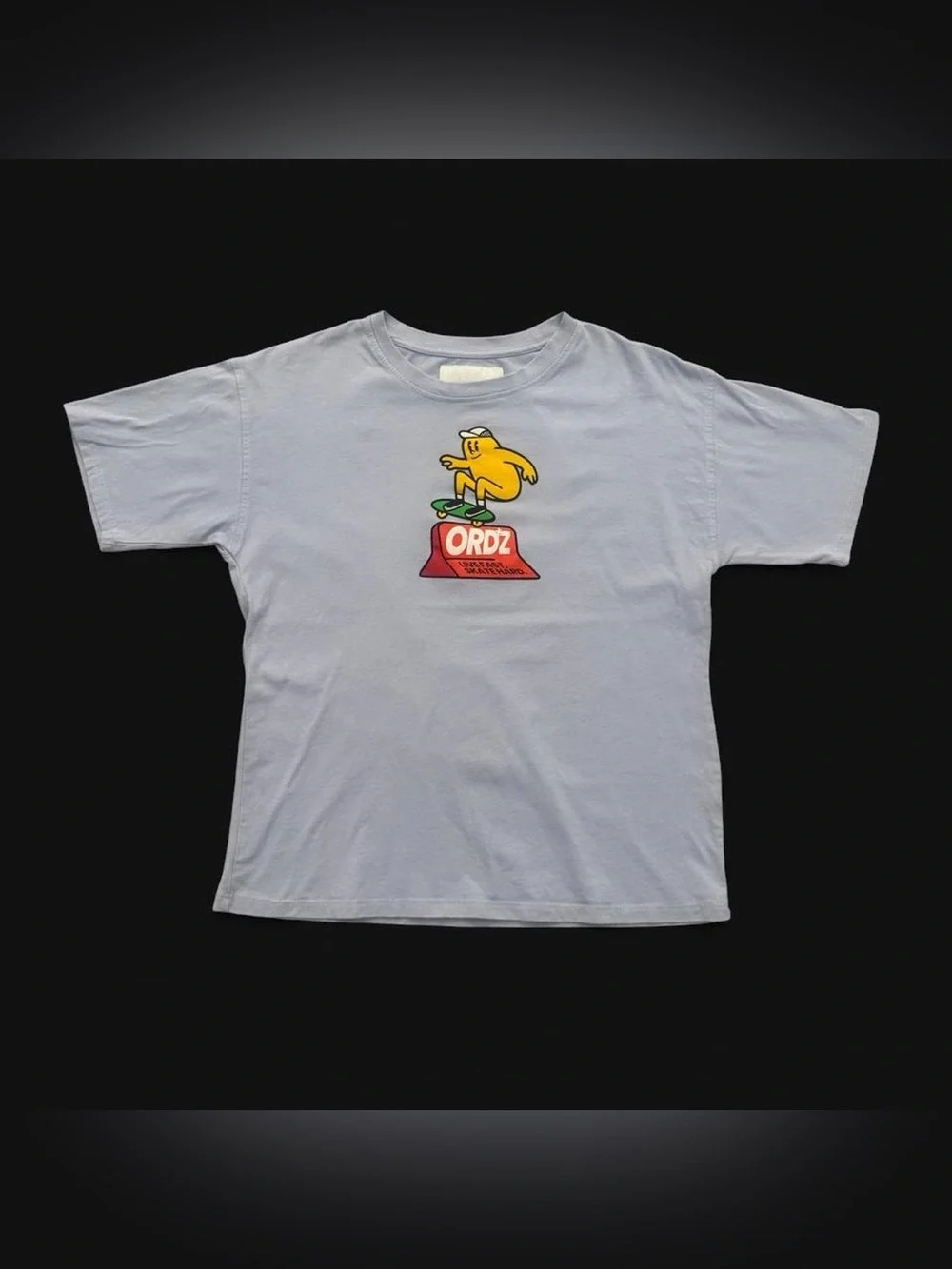 Zara Kids Skateboarding Graphic Tee Size 11-12 years